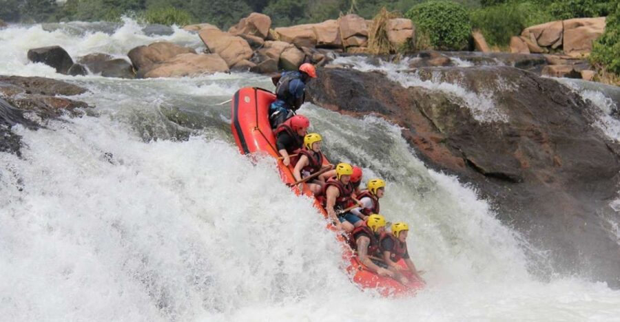 8-Day Source of Nile River, Primates &Game Drive Safari