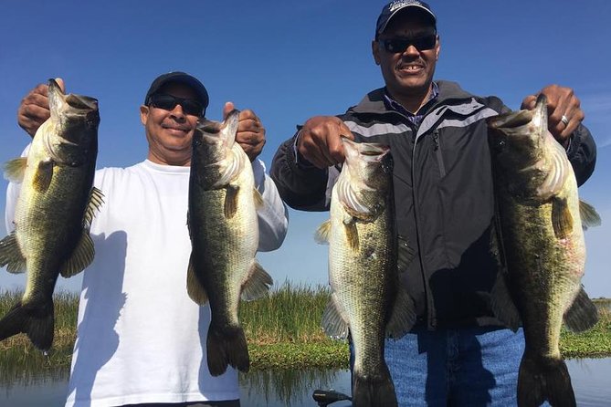 8-hour Butler Chain of Lakes Fishing Trip Near Orlando - Equipment and Gear Provided