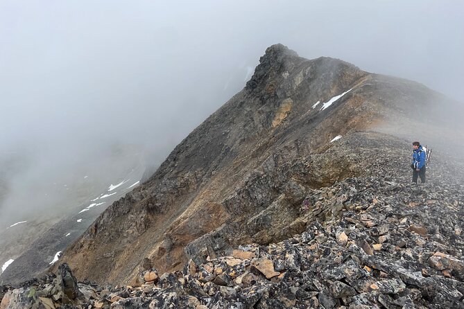 8 Hour Denali Mountainous Hiking Activity