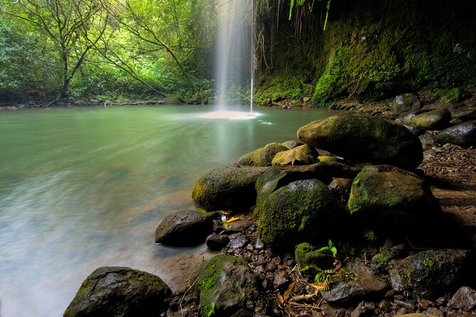 8 Hour Private Jungle Waterfall Tour From Maui