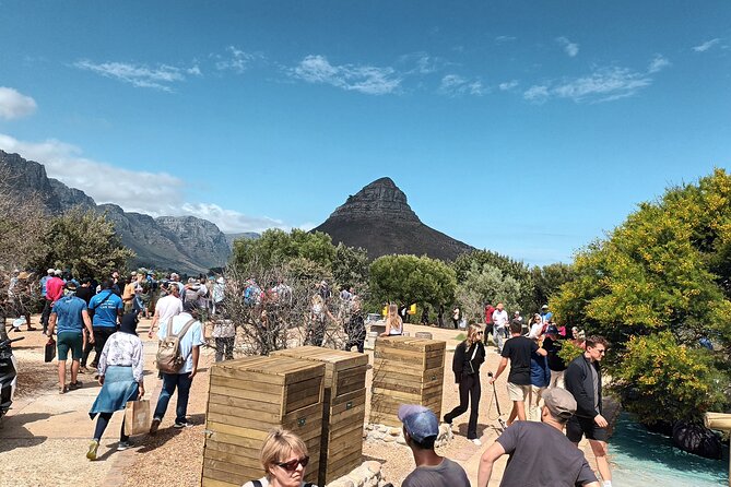 8-Hour Tour in Table Mountain Penguins and Cape of Good Hope