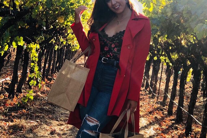 8 Hours 12 Passengers Limo Bus for Napa or Sonoma Wine Tour