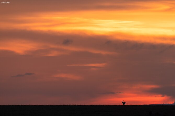 9 Days of Private Safari Tour in Serengeti and Ngorongoro