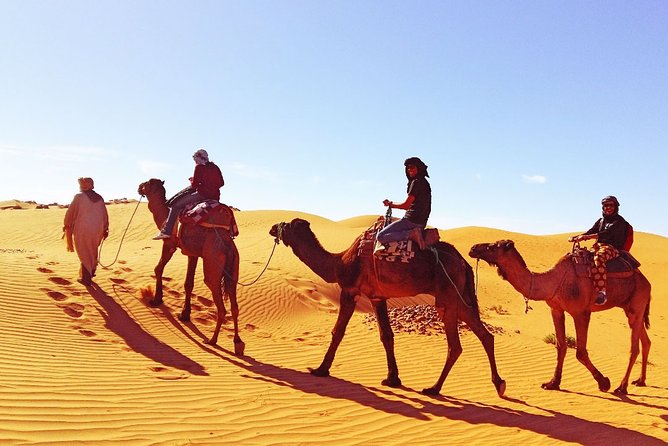 9 Days Southern Oasis, Kasbahs & Desert Morocco Cultural Tour From Marrakech