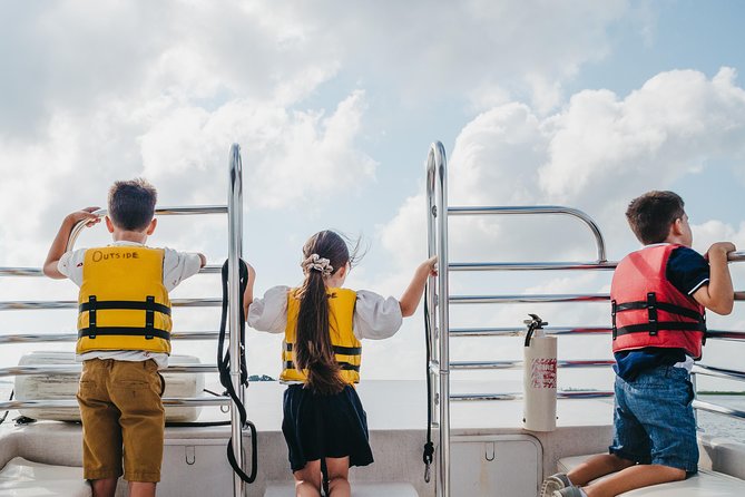 90-Minute Dolphin and Nature Tour of Hilton Head