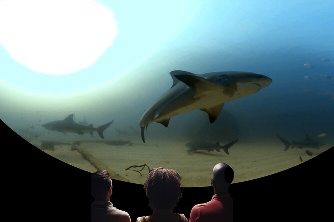 A 360° Immersive Ocean Movie Experience (Catalina Island)