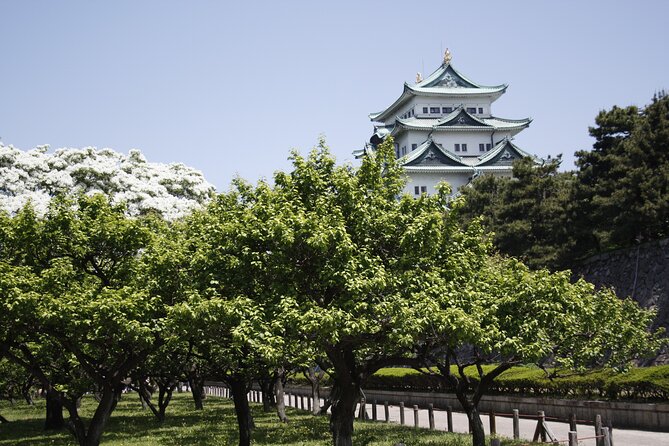 A Day of Samurai Spirit in Nagoya a Daimyo Legacy