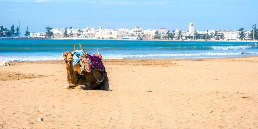 A Day Trip to Essaouira – the Beach