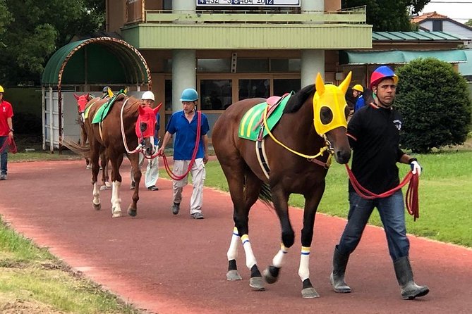 A Tour to Enjoy Japanese Official Gambling (Horse Racing, Bicycle Racing, Pachinko)