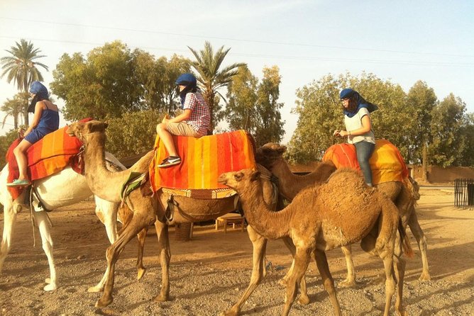 Activities in Marrakech: Camel Ride Tour