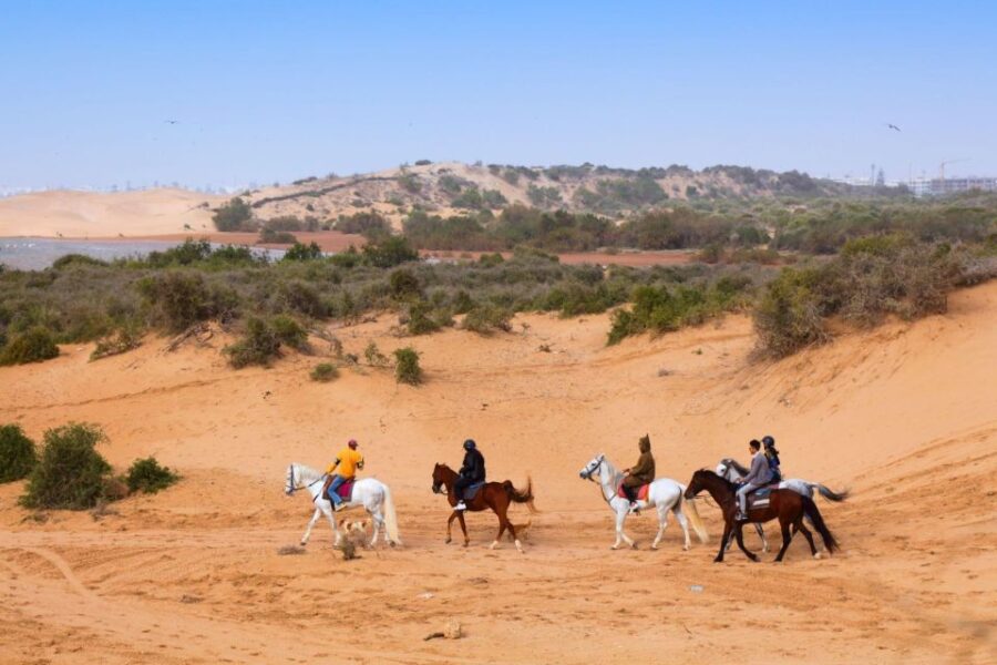 Agadir: Beach and Ranch Horse Riding Tour
