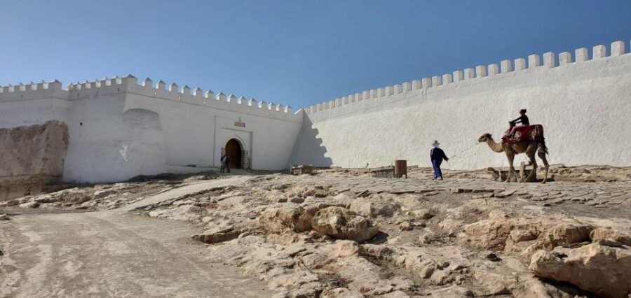 Agadir: Cable Car Ticket and Guided City Tour - Tour Overview and Pricing