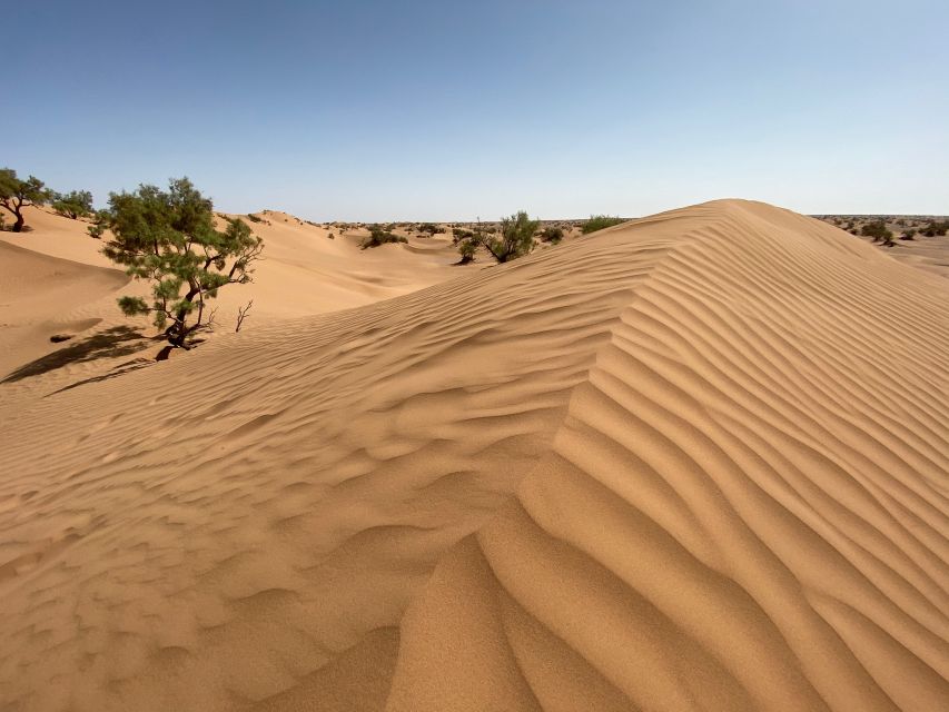 Agadir: Desert Safari Jeep Tour With Lunch & Hotel Transfers - Tour Overview and Pricing