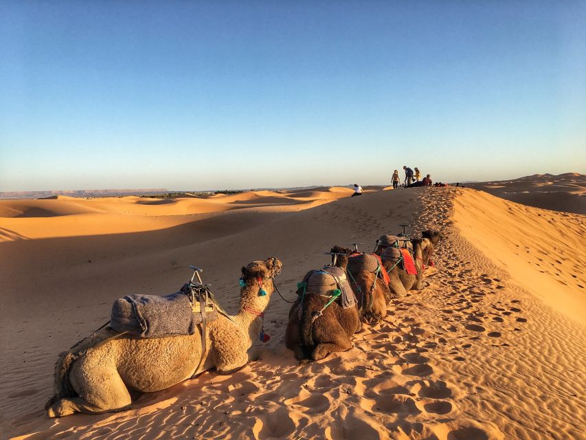 Agadir: Desert Safari Jeep Tour With Lunch & Hotel Transfers