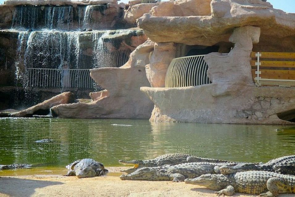 Agadir: Goat on Trees & Crocopark Including Hotel Pickup