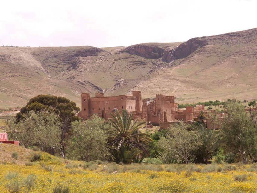 Agadir or Taghazout: 2-Day Zagora Desert Guided Tour - Tour Overview