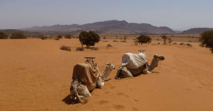 Agadir or Taghazout : 4×4 Jeep Massa Sahara Desert Day Trip