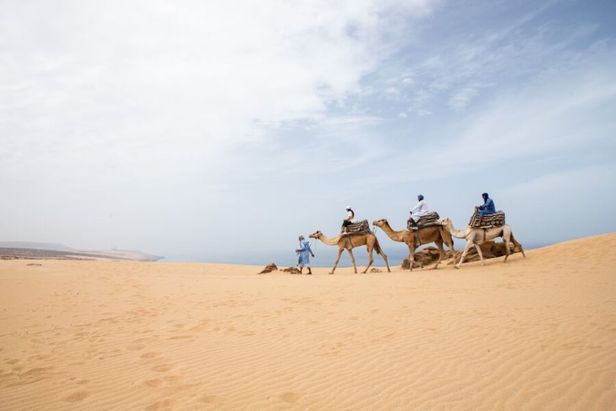 Agadir or Taghazout : Camel Ride in Desert Sand Dunes