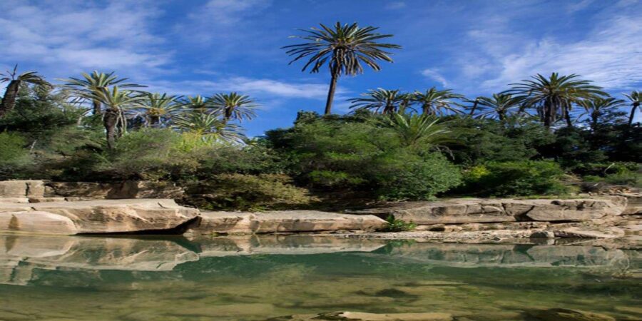 Agadir or Taghazout: Crocoparc + Dolphin World + Tickets - Unique Agadir Theme Park Experience