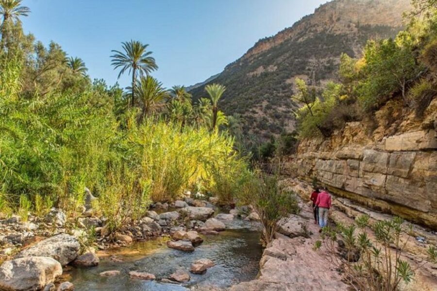 Agadir: Paradise Valley & Desert Sand Dunes With Camel Ride