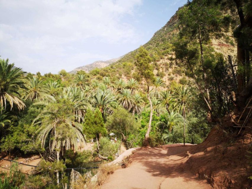Agadir: Paradise Valley & Desert Sand Dunes With Camel Ride