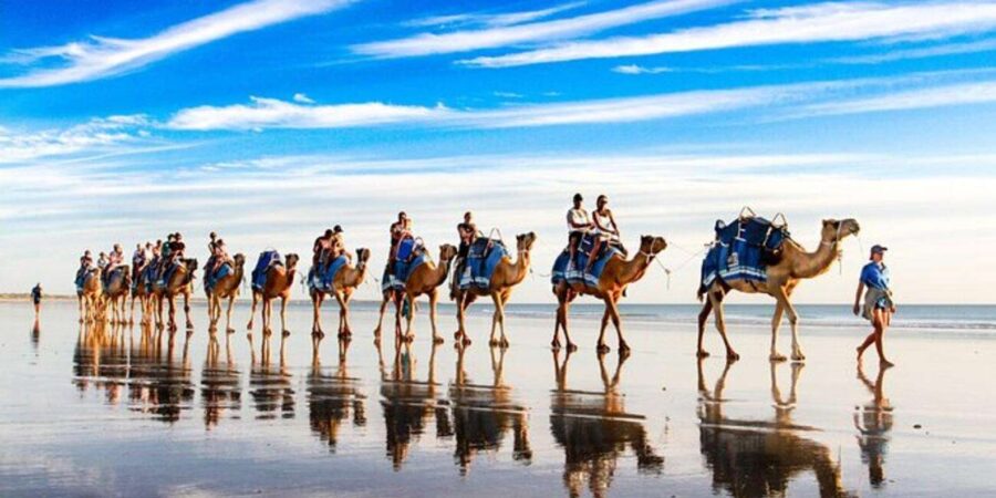 Agadir/Taghazout: Camel & Horse Ride on the Beach