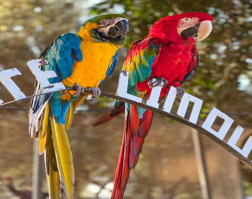 Agadir: Visit Villate Limoune Ticket & Hotel Pickup Included - Tour Overview