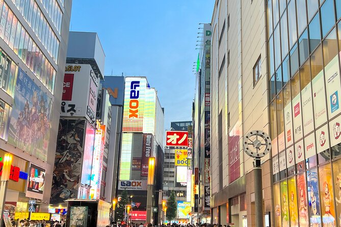 Akihabara Half Day Walking Tour With Otaku Licensed Guide