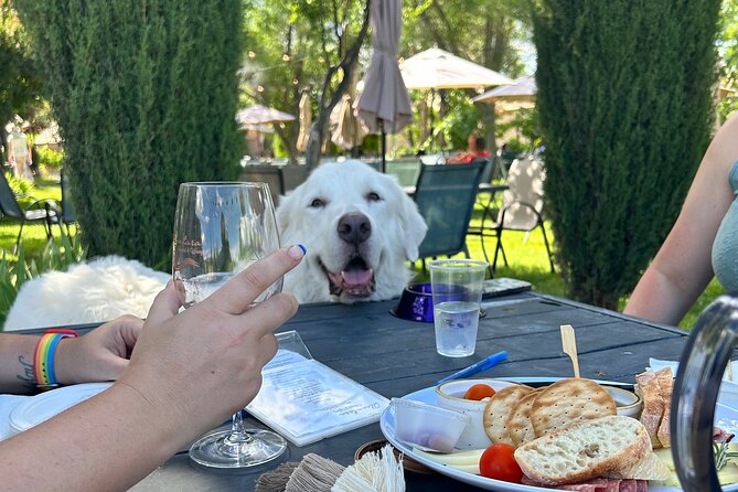 Alcantara Estate Vineyards Tasting Experience Review