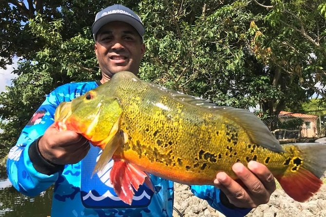 All Day Peacock Bass Fishing Trip Near Key Largo - Overview of the Fishing Experience