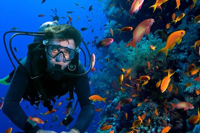 All in One Intro Diving & Snorkeling & Massage & Seafood & Water Sport -Hurghada - Experience Overview