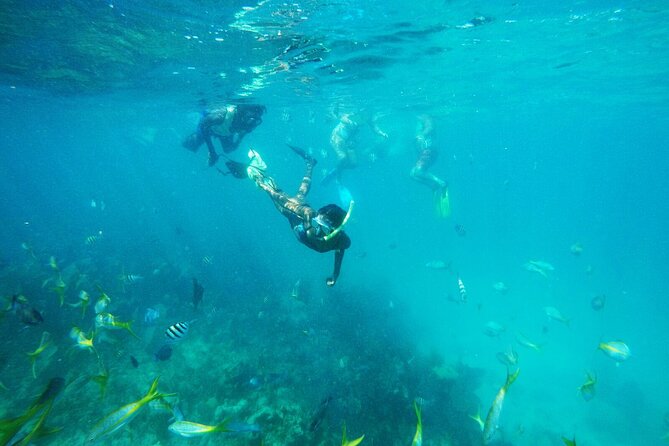 All Inclusive Sailing and Snorkeling Half Day Trip in Bahamas - Trip Overview