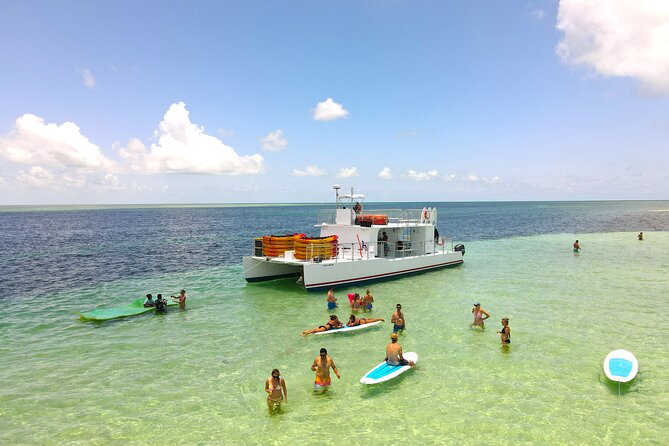 All-Inclusive Sandbar Safari With Dolphin Playground Encounter
