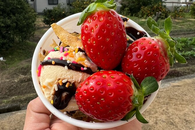 All You Can Eat Strawberry Picking in Izumisano Osaka