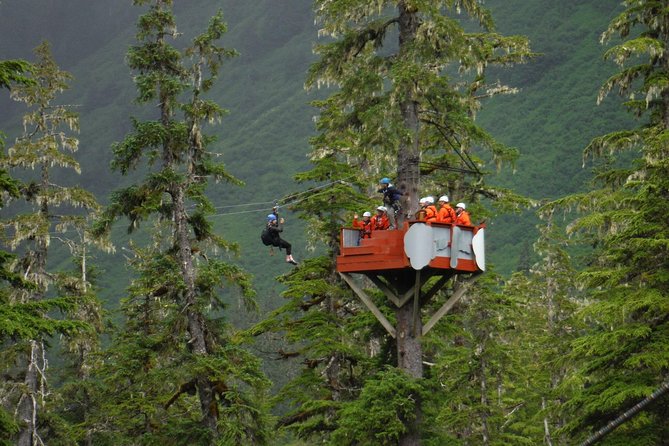 Alpine Zipline Adventure in Juneau, AK
