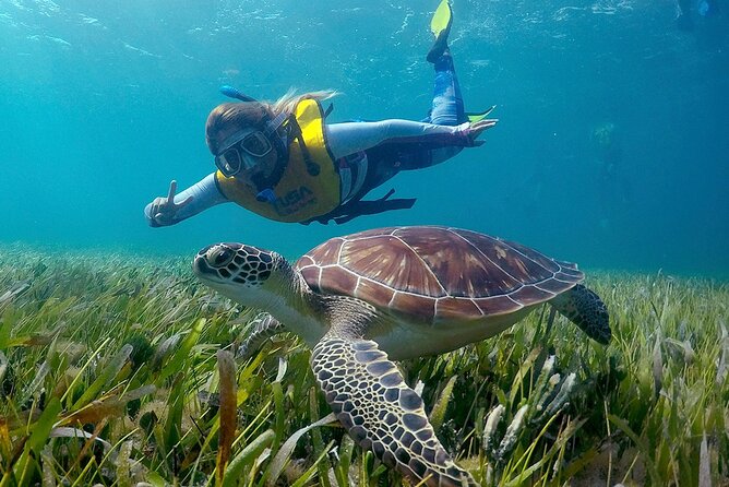 Amazing Snorkeling Experience in Cancun - Pickup and Meeting Information