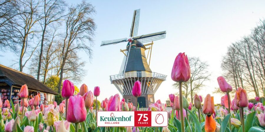 Amsterdam: Keukenhof Entry and Roundtrip Shuttle Transfer