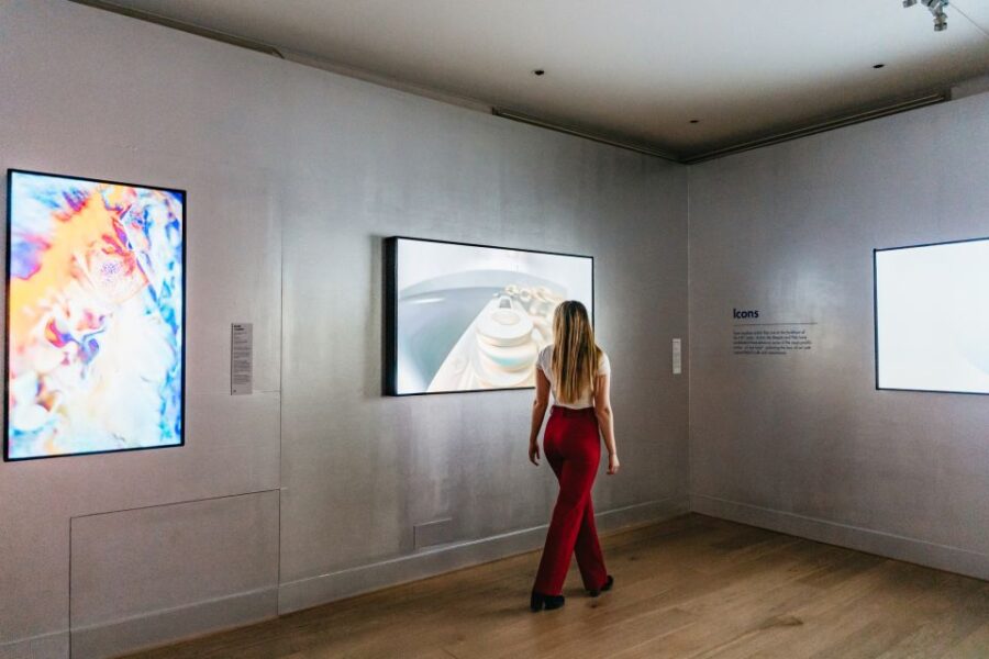 Amsterdam: Moco Museum Entrance Tickets With Banksy & More