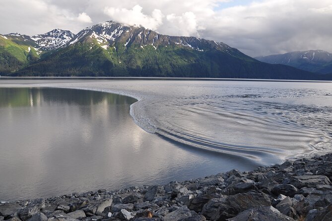 Anchorage to Seward Wildlife Adventure Review