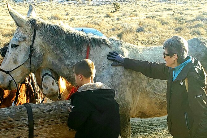 Animal Petting and Sunset Hike in Las Vegas