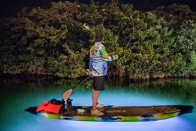Anna Maria Island Paddleboard Tours