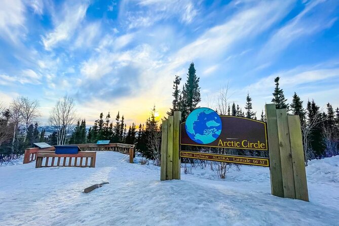 Arctic Circle Day Tour Adventure Review