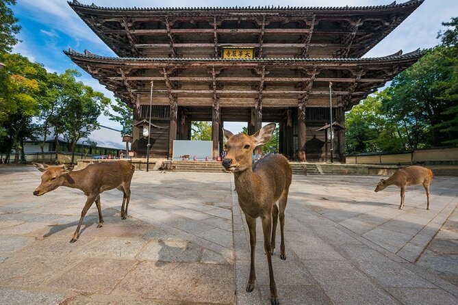 Arima Onsen, TōDai-Ji, Kobe Sanda Outlets & Nara Park From Osaka - Exploring Tōdai-jis Grandeur