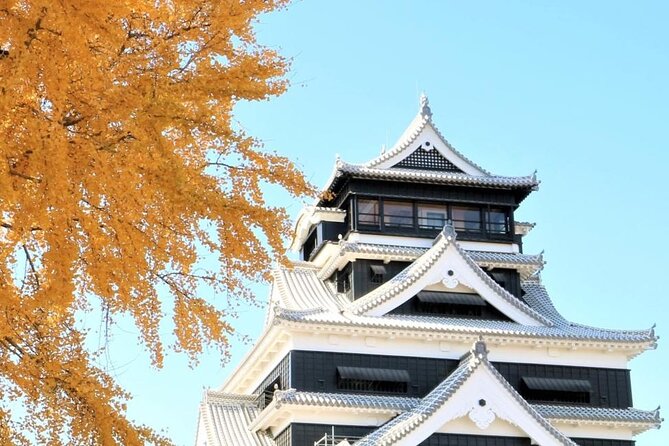 Aso Sightseeing Day Trip From Japan