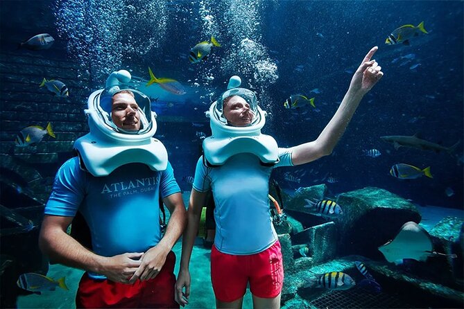 Atlantis Lost-Chamber Aquarium Dubai