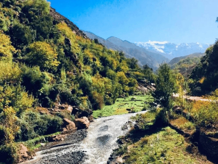 Atlas Mountains Day Trip & Camel Ride
