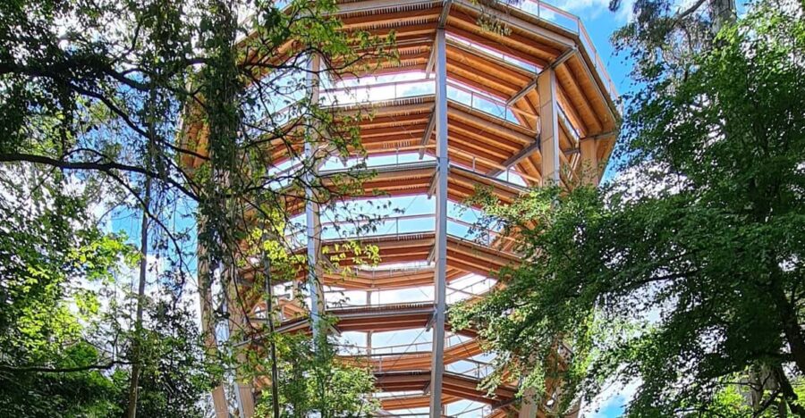 Avondale: Beyond the Trees Treetop Walk & Tower Entry Ticket