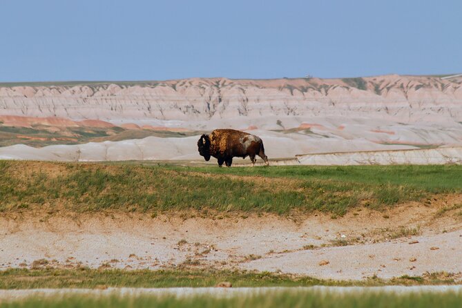 Badlands National Park Tour: A Review