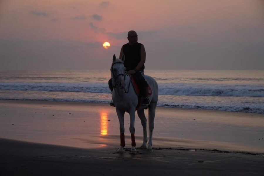 Bali: Bali Beach Horse Riding Experience