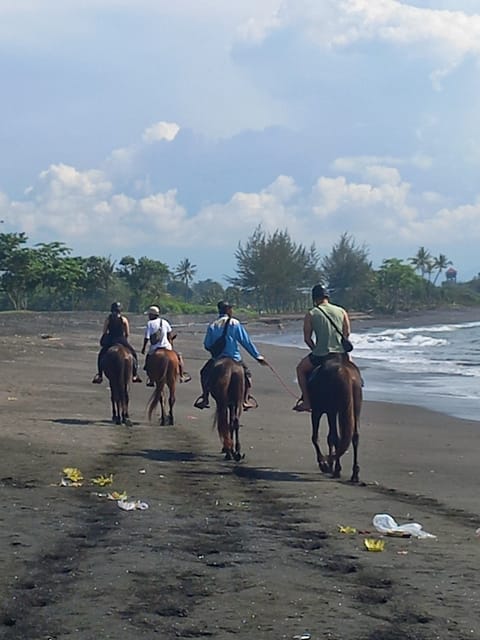 Bali : Beach Horse Riding Experience & Hidden Waterfall